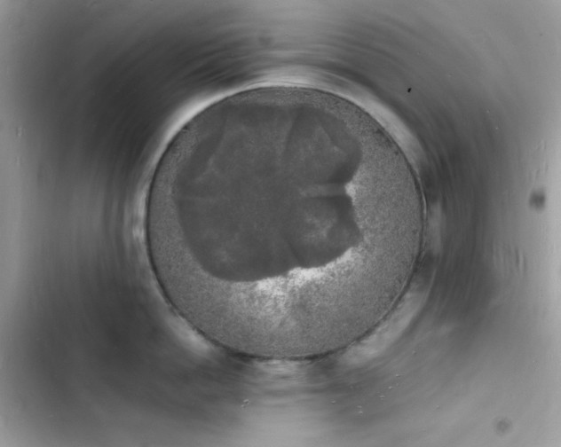 X0000103970862200809191533