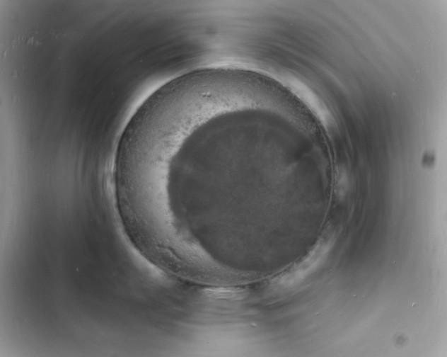 X0000103970863200809191533