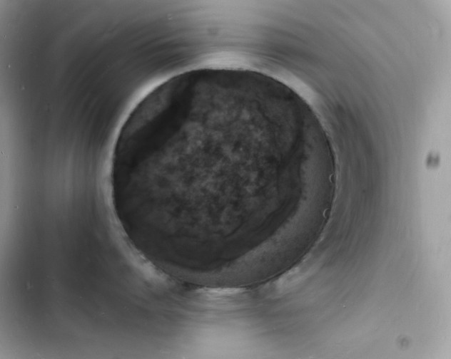 X0000103970864200809191533