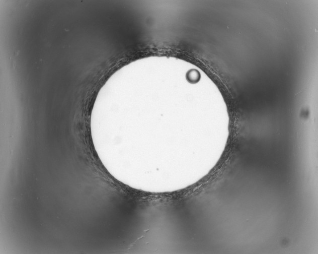 X0000103970865200809191532