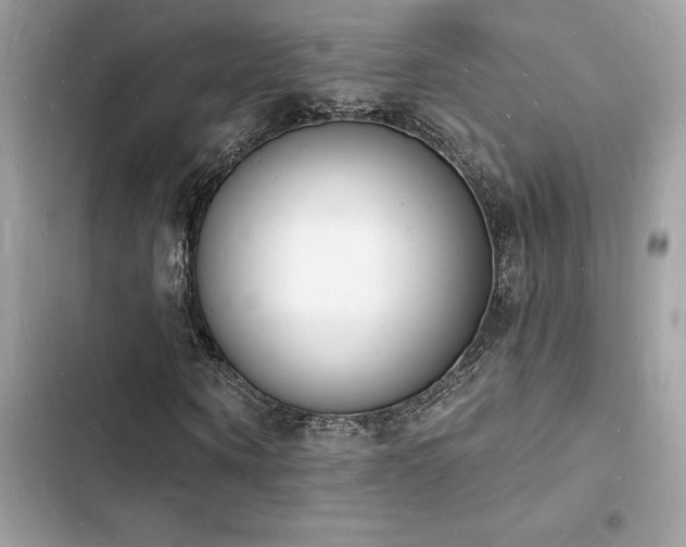 X0000103970866200809191532