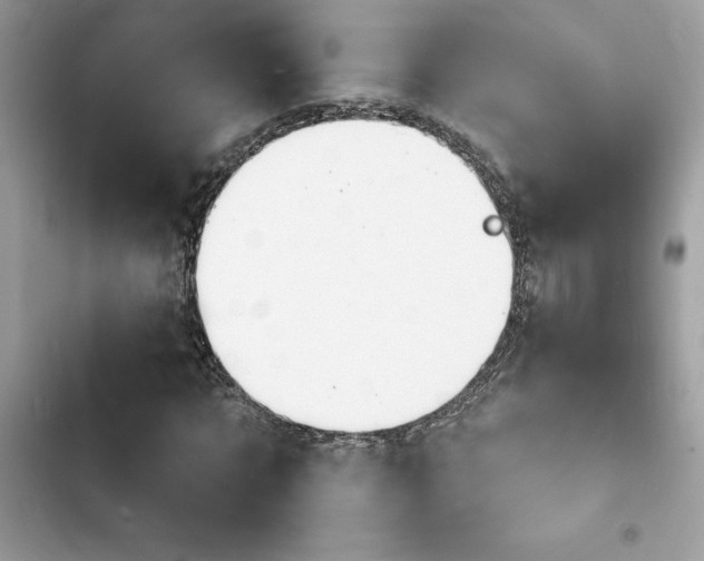 X0000103970869200809191532