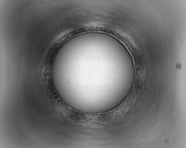 X0000103970870200809191532