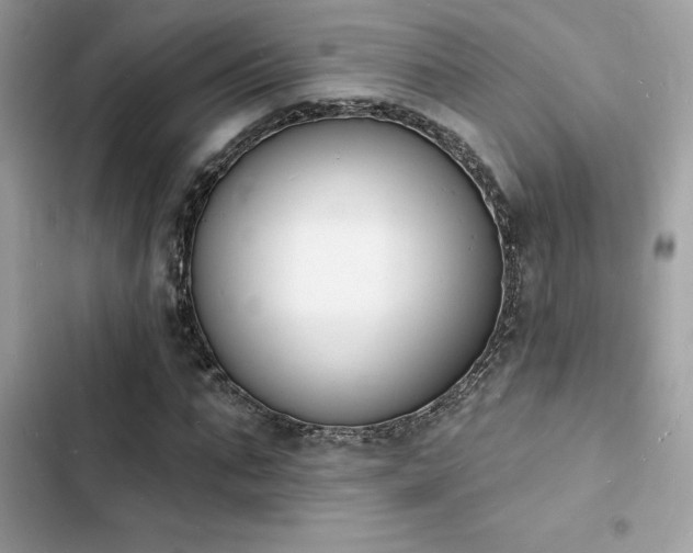 X0000103970871200809191532