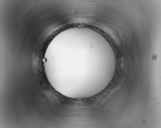 X0000103970872200809191532