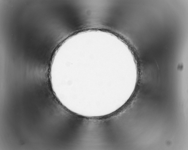 X0000103970873200809191532