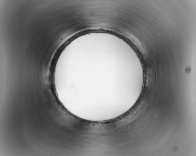 X0000103970876200809191532