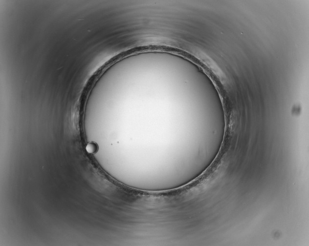 X0000103970877200809191532