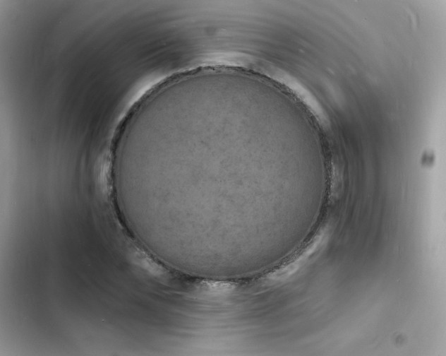 X0000103970878200809191532