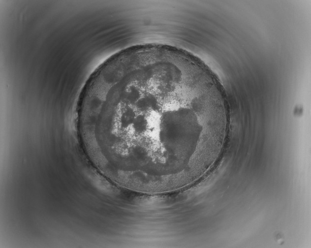 X0000103970879200809191532