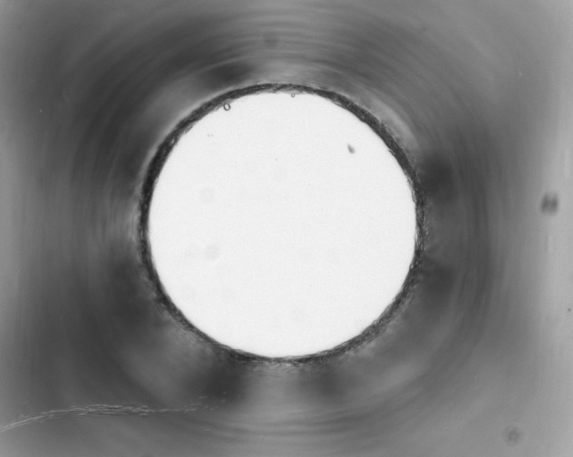 X0000103970880200809191532