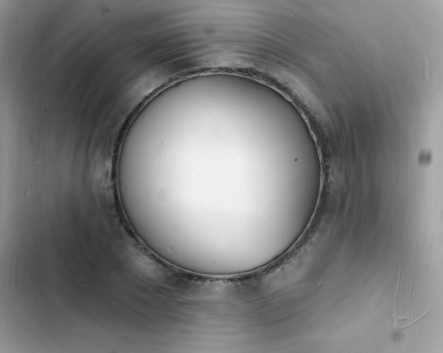 X0000103970881200809191532