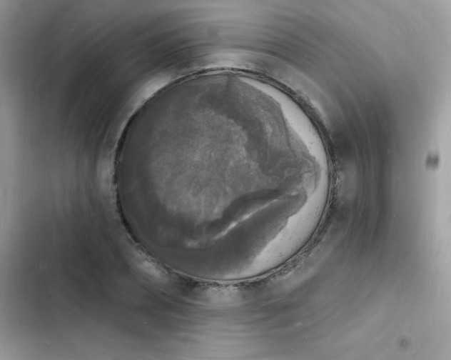 X0000103970882200809191532