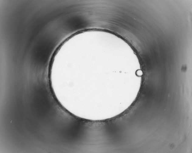 X0000103970884200809191532