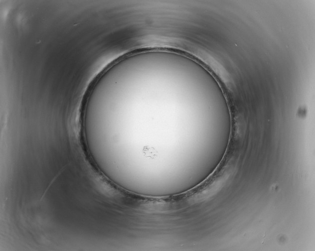 X0000103970885200809191532