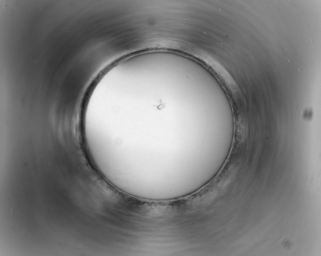 X0000103970886200809191532