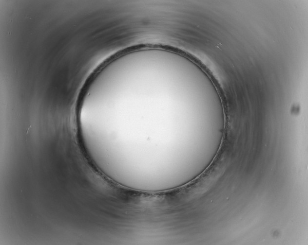 X0000103970887200809191532