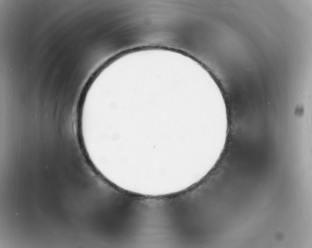 X0000103970888200809191532