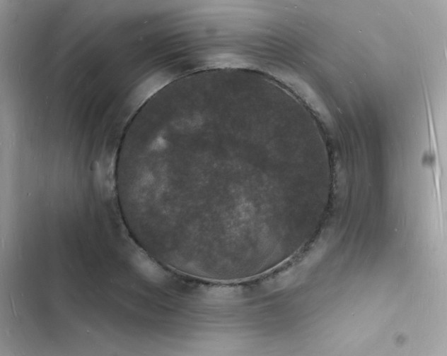 X0000103970889200809191532