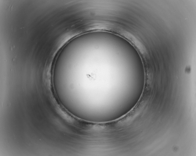 X0000103970890200809191532