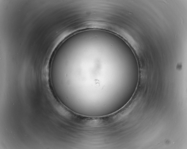 X0000103970891200809191532