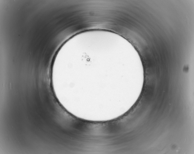 X0000103970892200809191531