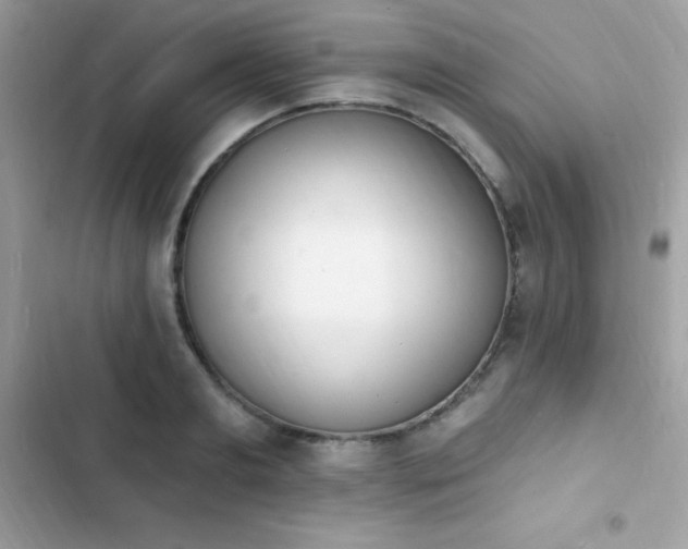 X0000103970893200809191531