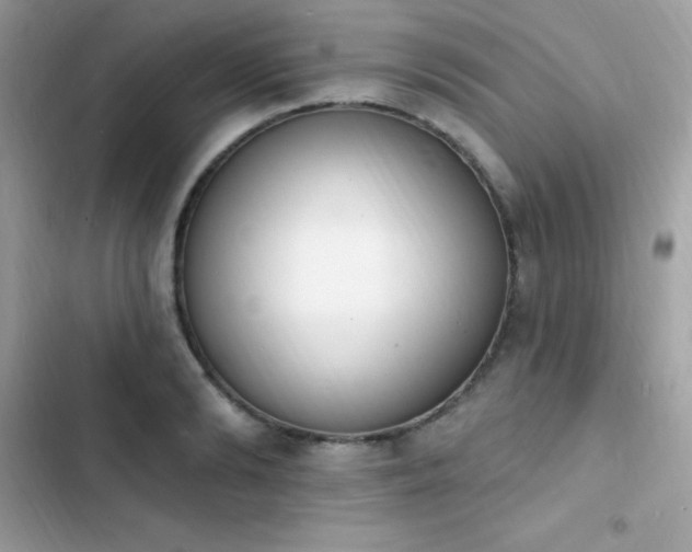 X0000103970894200809191531