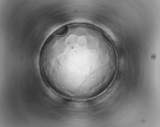 X0000103970895200809191531