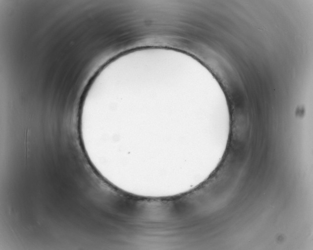 X0000103970896200809191531