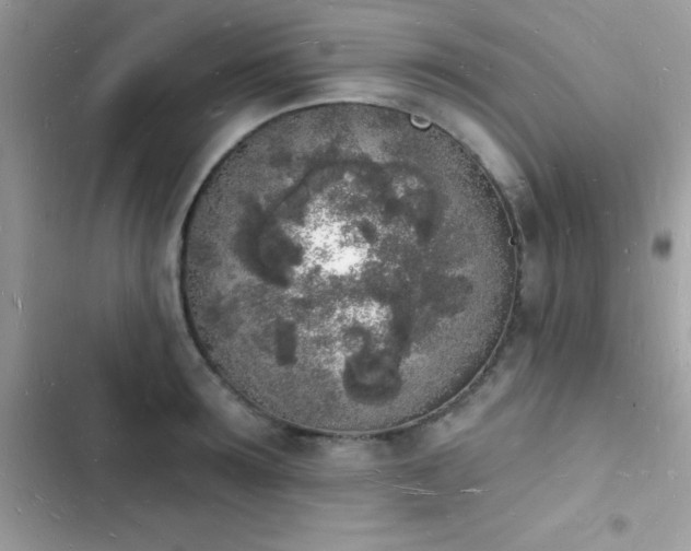 X0000103970899200809191531