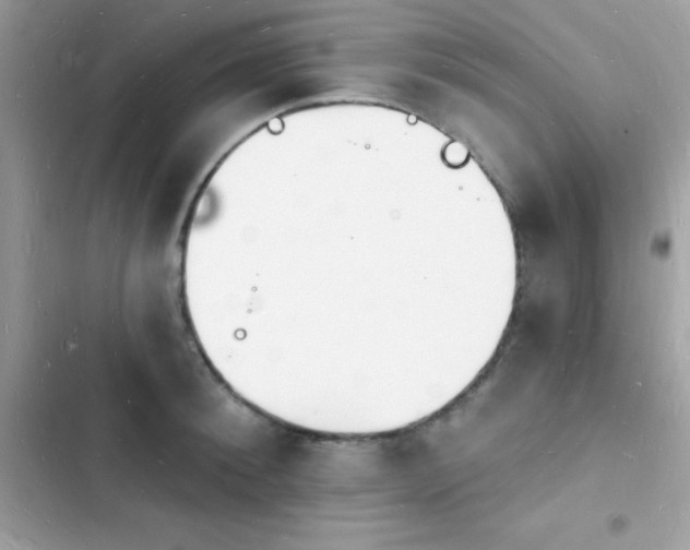 X0000103970900200809191531