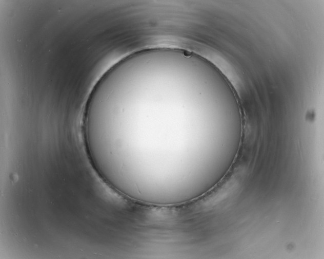 X0000103970901200809191531