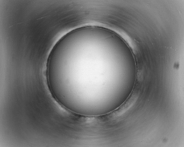 X0000103970903200809191531