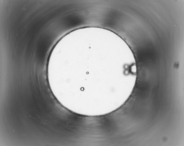 X0000103970904200809191531