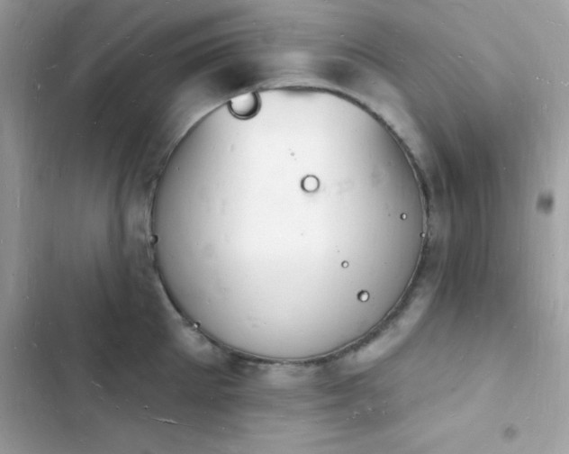 X0000103970905200809191531