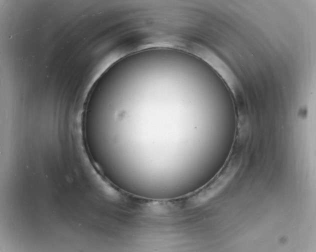 X0000103970906200809191531