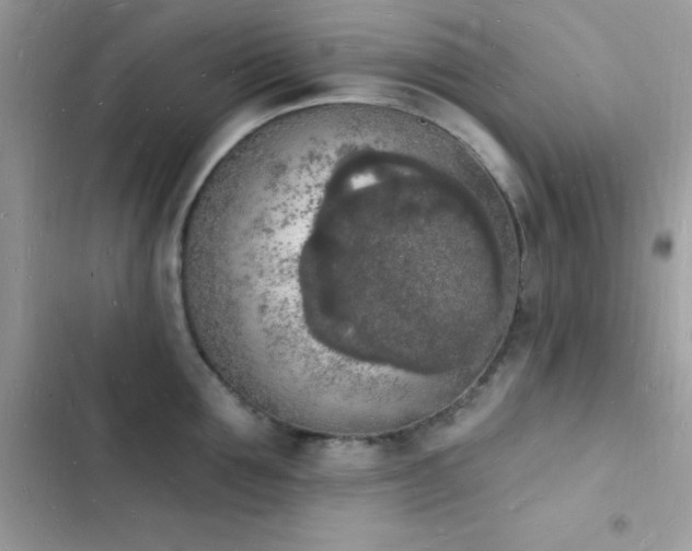 X0000103970907200809191531