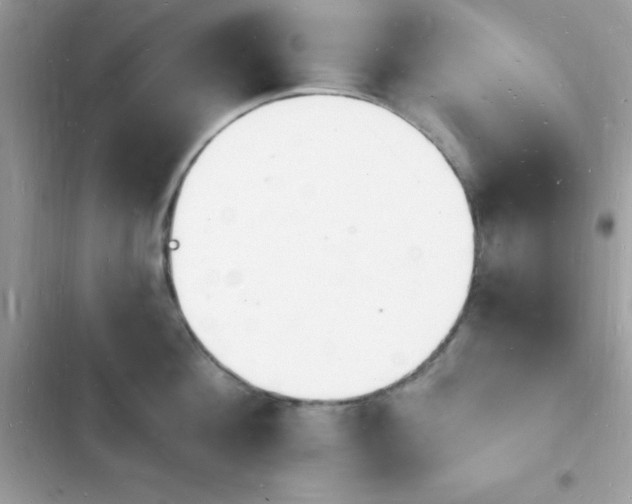 X0000103970908200809191531