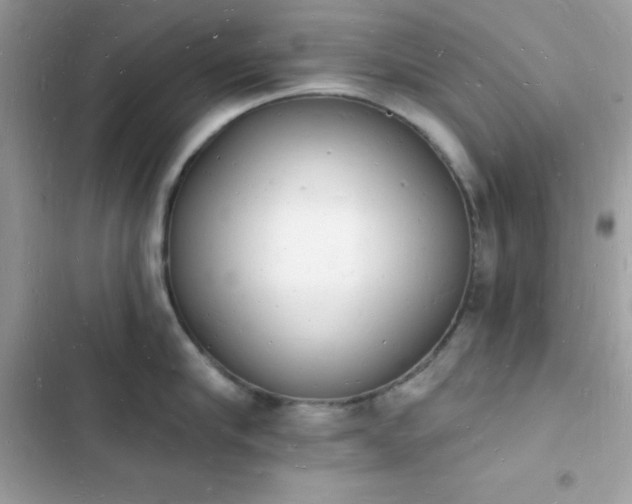 X0000103970910200809191531