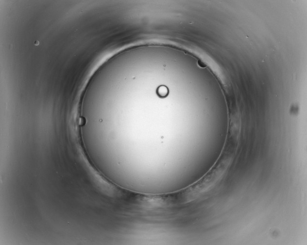 X0000103970911200809191531