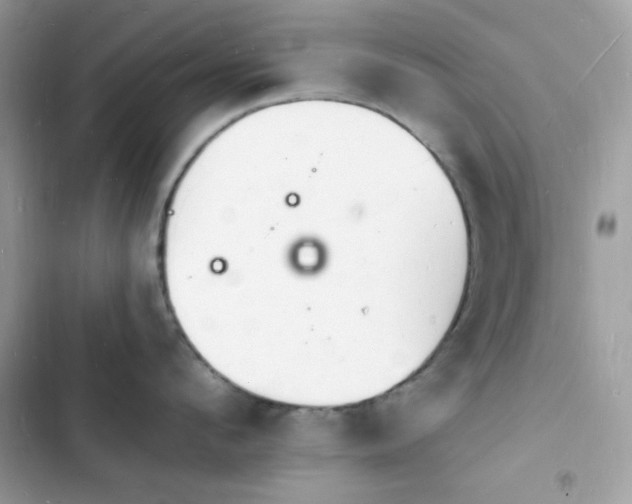 X0000103970912200809191531