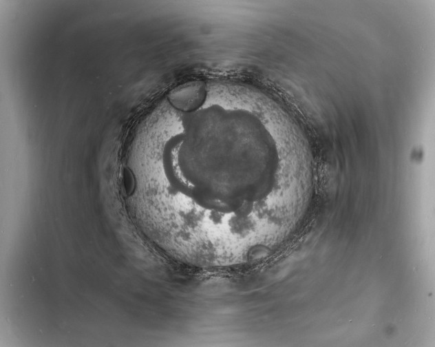 X0000103970913200809191531