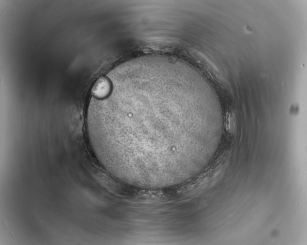 X0000103970915200809191531