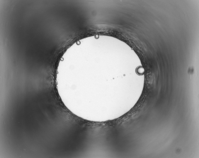 X0000103970916200809191531