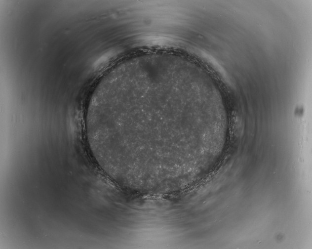 X0000103970918200809191531