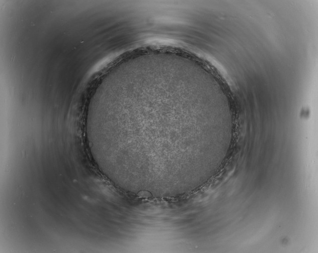 X0000103970919200809191531