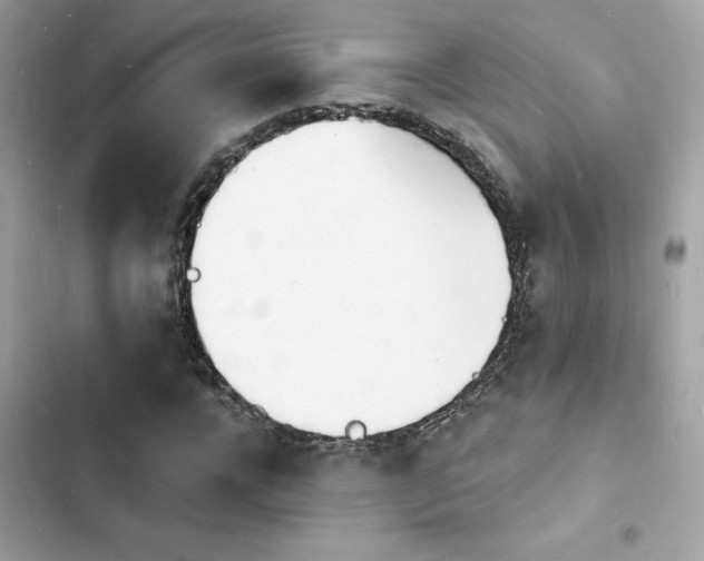 X0000103970920200809191531