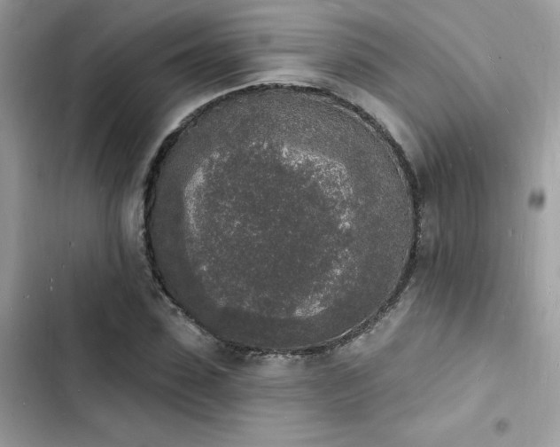 X0000103970923200809191531