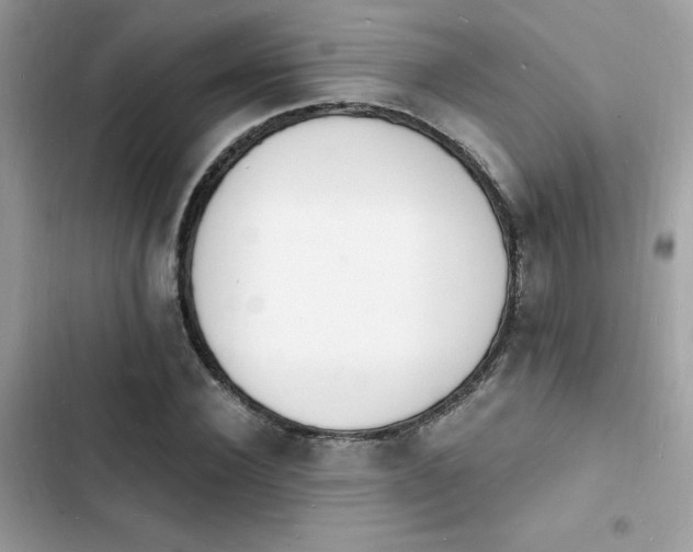 X0000103970924200809191531